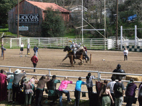 Jousting Follow Through